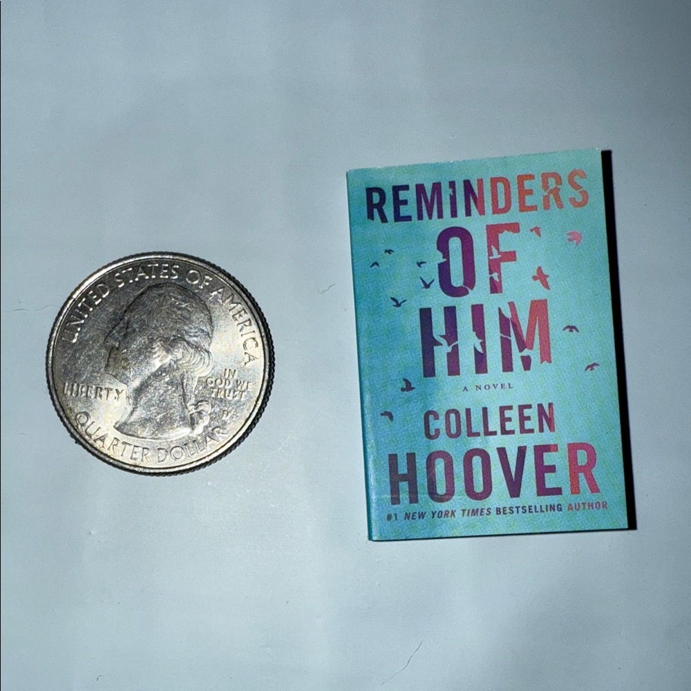 Mini Brands book: 'Reminders of Him'